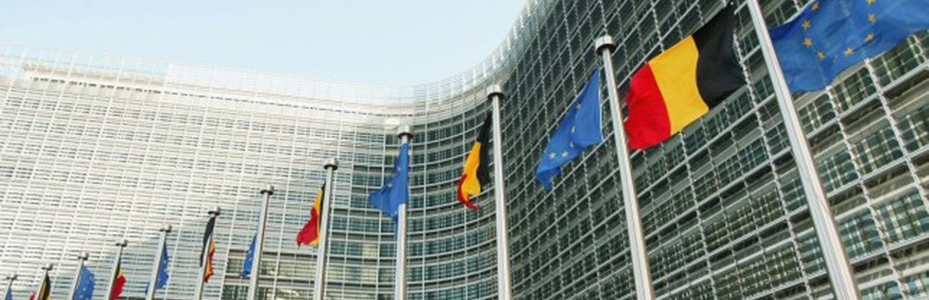 Европейски фонд за интеграция на граждани на трети страни